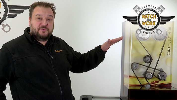 Know-how – Belt in Oil