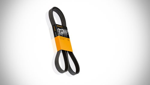 import-belt-(1).jpg